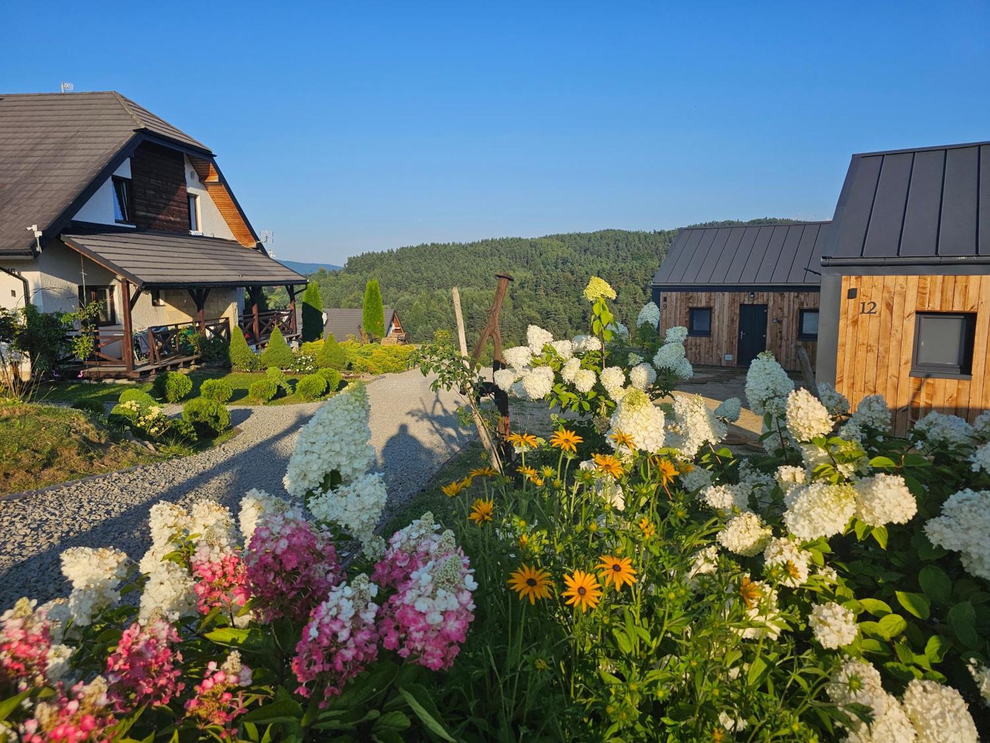 Chata W Bieszczadzie Apartamenty I Domki Z Sauna Bieszczady Polańczyk 외부 사진