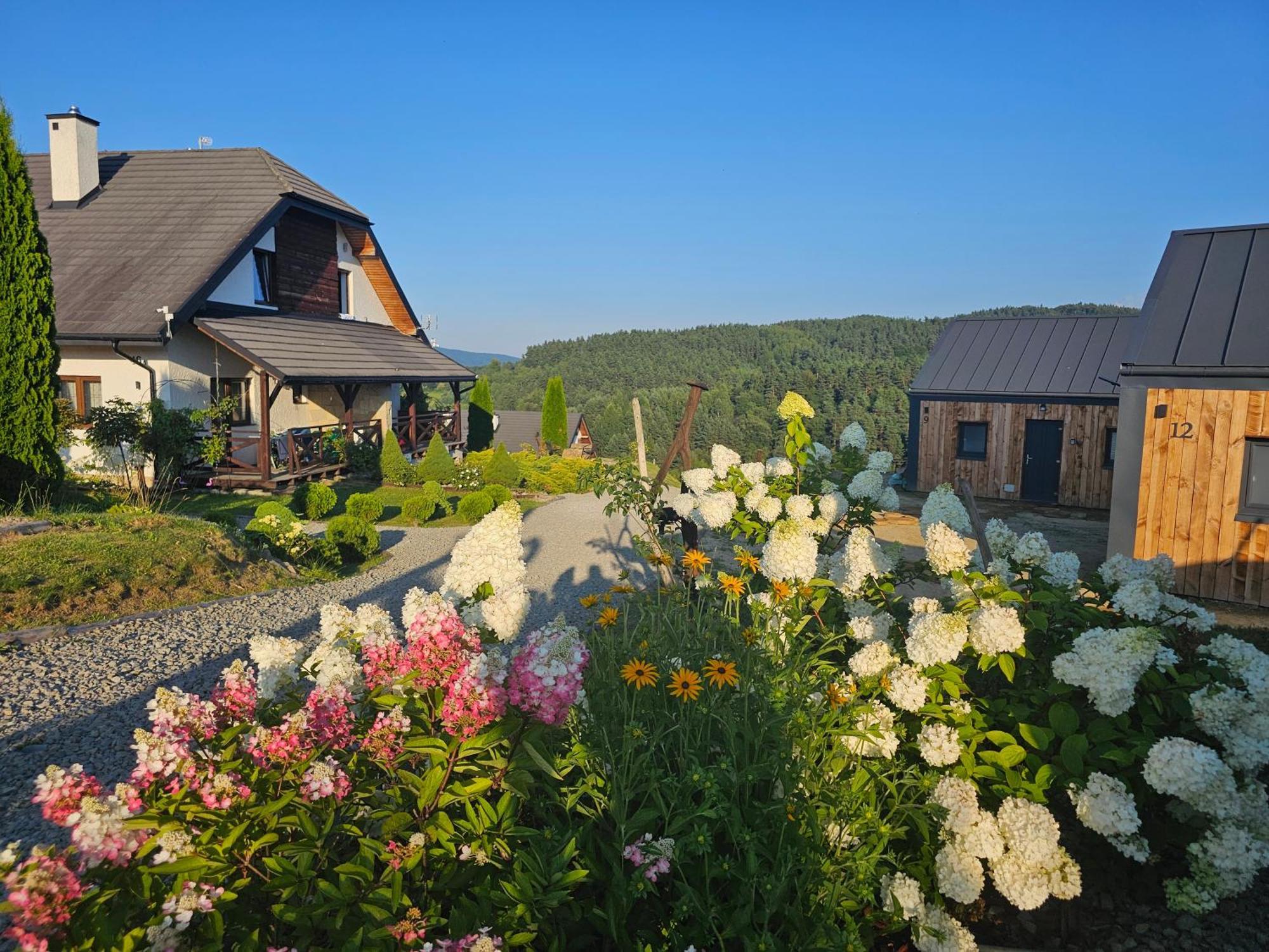 Chata W Bieszczadzie Apartamenty I Domki Z Sauna Bieszczady Polańczyk 외부 사진